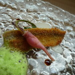 バローレ - ししゃものコトレッタ