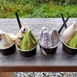 ソリッソ - 注文したジェラート類