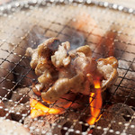 朝〆ホルモン 炭火焼肉ともつ鍋 暴れん坊 名古屋駅前店 亀島 焼肉 食べログ