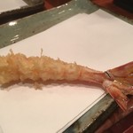 天冨良 よこ田 - 