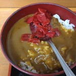 そば処　亀島 - カレー丼