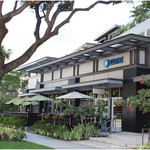 BLUETREE - 