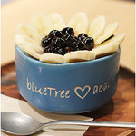BLUETREE - 