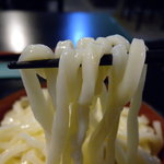 Tsurigane Udon - うどんUP_2011-04-23