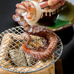 [Amazing specialty! [Surprising price] "Takotsubo" Live octopus with one leg dancing ~ It moves because it's alive! dance! ～