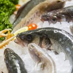 Fresh fish arrives from all over the country every day!