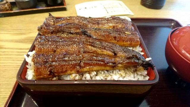 はげてますさんが投稿したうなぎ なまずや 名東分店 愛知 小幡 の口コミ詳細 食べログ はげてますさんが投稿したうなぎ なまずや 名東分店 愛知 小幡 の口コミ詳細 食べログ