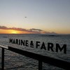 Marine＆Farm　SAJIMA