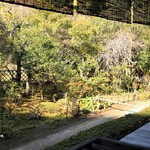 安寧 - お庭にも秋がやってきました