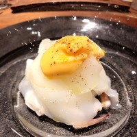 cenci - 