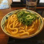 丸亀製麺 - カレーうどん
            