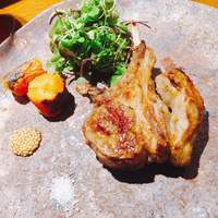 TACUBO - 