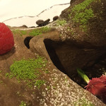 クレアバックス - 