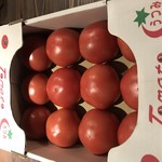 Guriru Bado - 山科うつみ農園さんのトマト