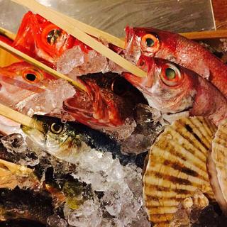【食材】山口県産の鮮度が高い旬の魚を毎日仕入れています