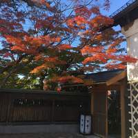 吉亭 - 