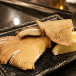 またぎ - ひらたけ（2016/12）