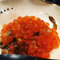 春草 - 