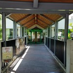 レストラン楓 - 百年草の入口