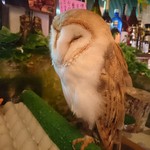 口コミ一覧 福楼 フクロウ 元町 中華街 台湾料理 食べログ