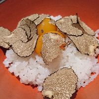恵比寿 希鳥 - トリュフＴＫＧ