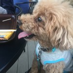 スターバックスコーヒー - 