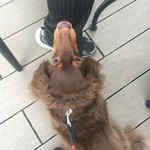 スターバックスコーヒー - 