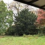 time&space 愛宕下 - 店内からの庭の眺め