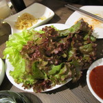 焼肉 親鳥専門店 ばかたれ - サンチュ！