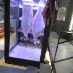 入り口付近には肉が！