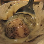 IL TEATRINO DA SALONE - 蛸とクレマ　ディ　パターテすくって（11.3月）