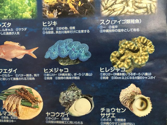 ディープな町のディープな沖縄料理 By Masumiさん はながさ 沖縄料理の店 はながさ 十三 沖縄料理 食べログ ディープな町のディープな沖縄料理 By Masumiさん はながさ 沖縄料理の店 はながさ 十三 沖縄料理 食べログ
