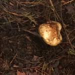 五宝平自然園 - 