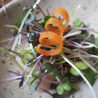 日本料理 鯉城 - 