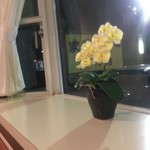 カレー風味 すずき - 