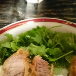 カレー屋アカマル - 厚切り豚ロースカツカレー￥１３８０ご飯大盛り￥１００パクチー追加￥１５０