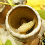 柚木元 - これが蜂のさなぎ