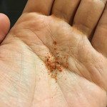 日本一小さなインド家庭料理 ドーン食堂 印度山 - 