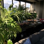 es ROOFTOP GARDEN BAGUS - 