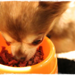 牛たん よし田 - 