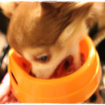 牛たん よし田 - 