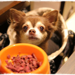 牛たん よし田 - 