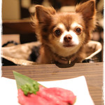 牛たん よし田 - ワンちゃん用の牛たん