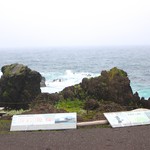 畑宮食品 - アザラシがいるプール、と看板にあります。