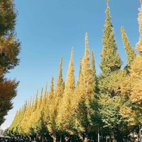 キハチ 青山本店 - 
