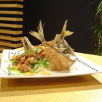 OMEGA SEVEN - 2000円コース料理の一例（新鮮アジのカルパッチョと姿せんべい。魚料理のご要望にもお応えいたします）