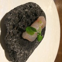 ル スプートニク - 
