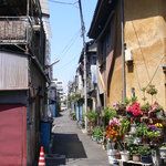 梅月 - 近くの小径