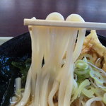 かつやま屋台 宮田 - 麺アップ