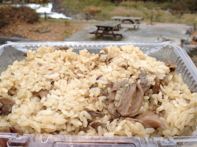 天然記念物 材木岩公園売店 - 白石（その他）の写真